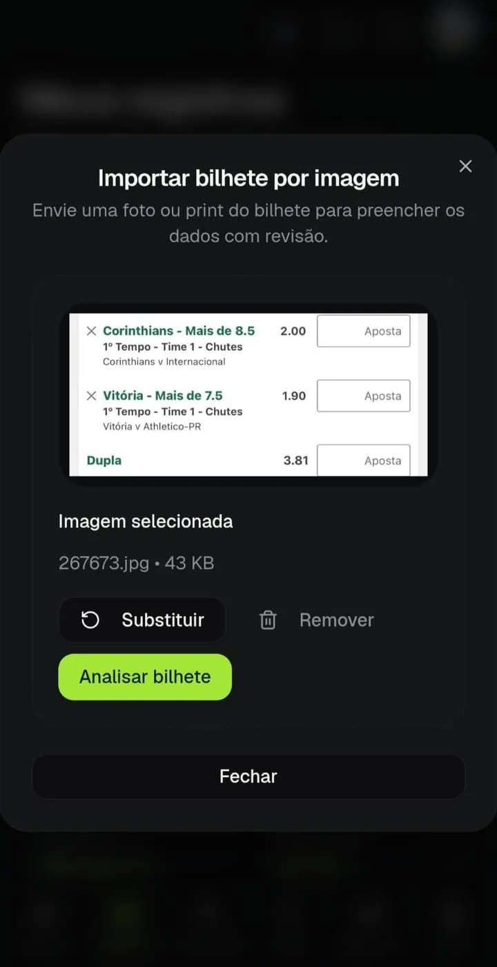 Tela de importação de bilhete por imagem no app TipGestor, com o bilhete carregado para análise